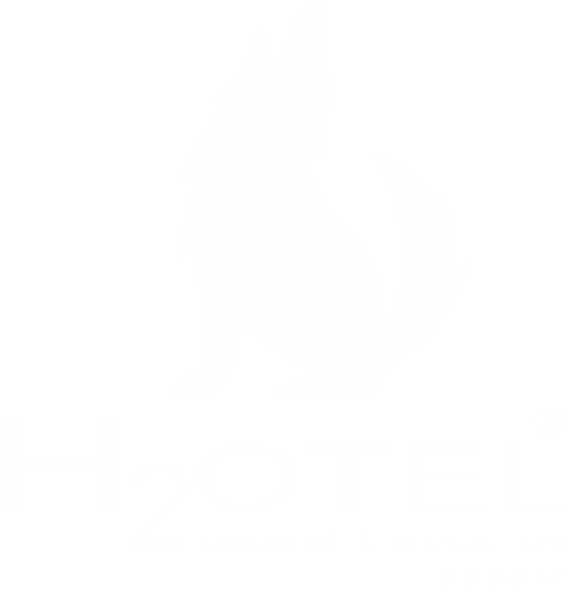 H2otel Congress & Medical Spa